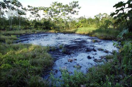A waste pit filled with crude oil left by Texaco drilling operations years earlier lies in a jungle clearing near the Amazonian town of Sacha, Ecuador, October 21, 2003, on the day of the start of a landmark trial where Ecuadoran Indians are seeking to force ChevronTexaco to clean up the environmental contamination left behind from Texaco's operations. REUTERS/Lou Dematteis
